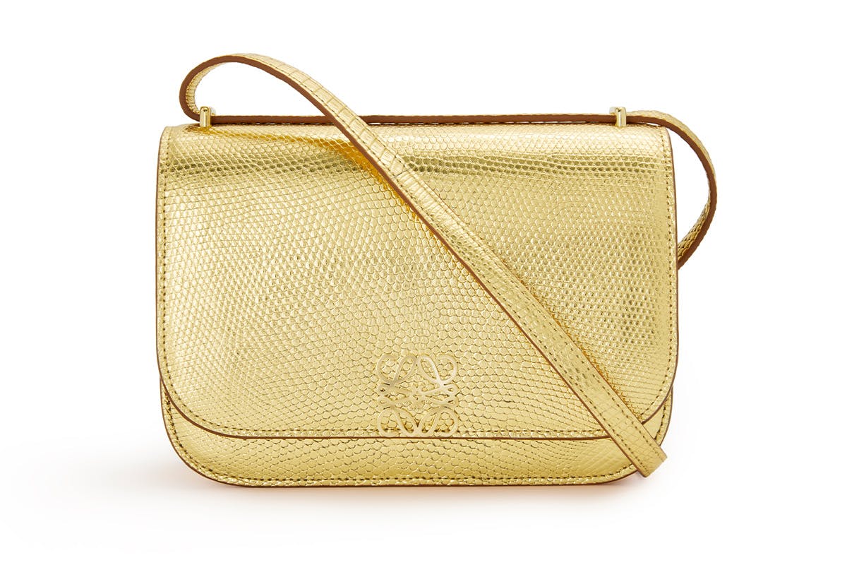 loewe goya bag 2021